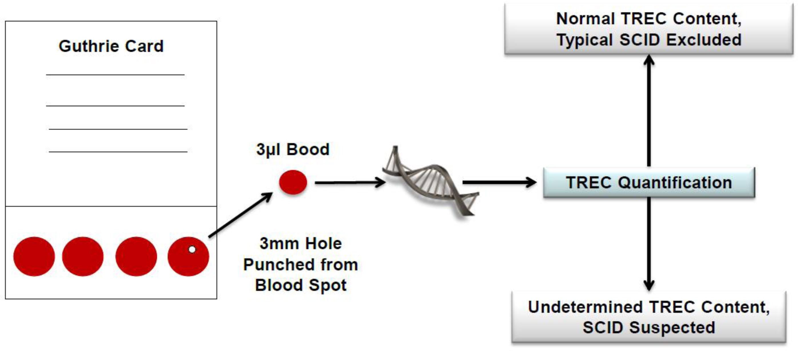 An external file that holds a picture, illustration, etc., usually as some form of binary object. The name of referred object is rmmj-5-1-e0001-g02.jpg